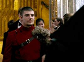 dating viktor krum would include